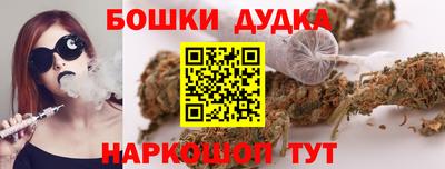 spice Моздок