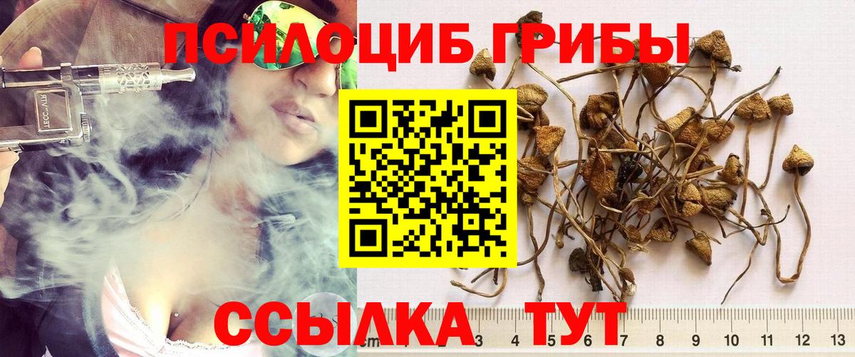 Галлюциногенные грибы Psilocybe  Псилоцибиновые грибы Cubensis  Вход с VPN  Великие Луки 