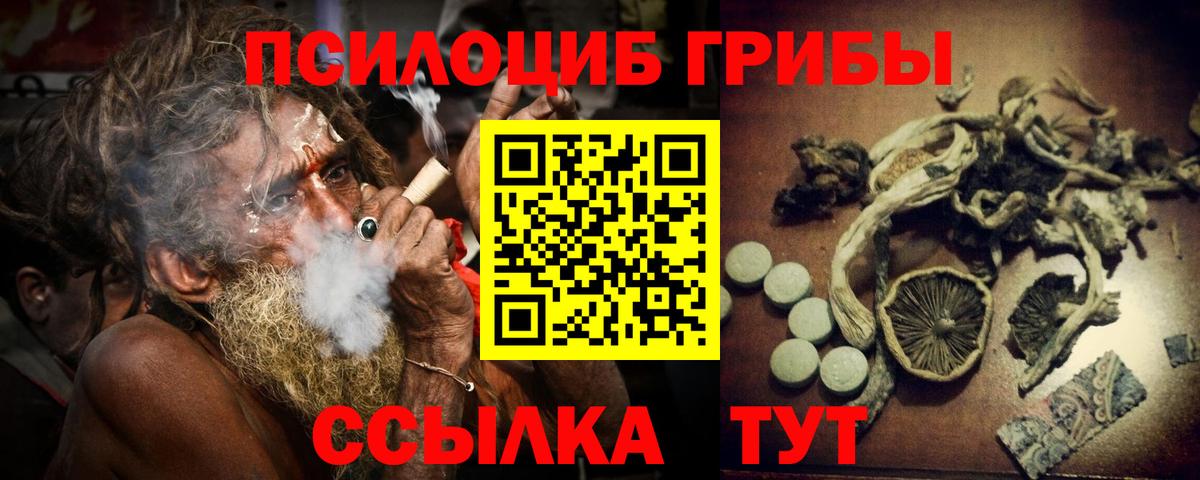 Псилоцибиновые грибы мицелий Великие Луки