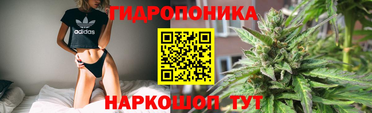 Шишки марихуана семена Великие Луки